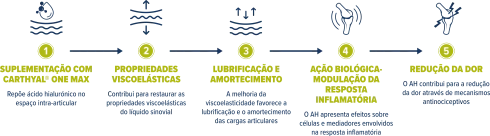 viscosuplementação